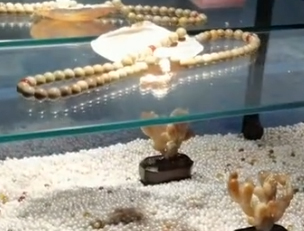 相关视频