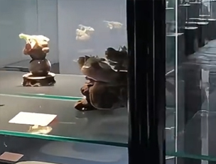 产品展示