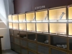 相关视频